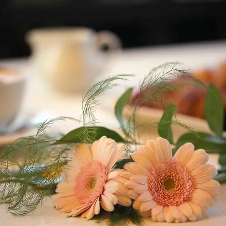 호텔 Costabella 산 제노 디 몬타냐